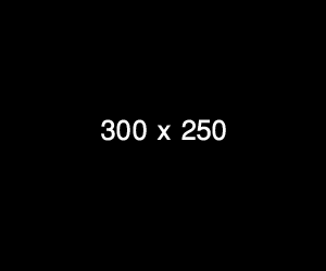 Картинки 300 250